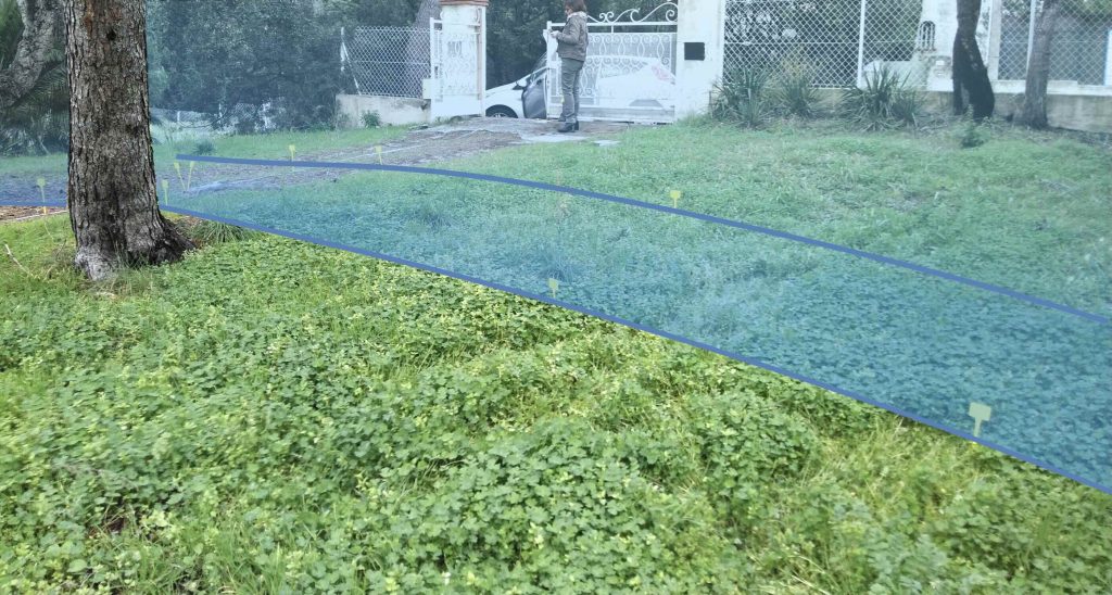 Cours d'eau observé par clair vision